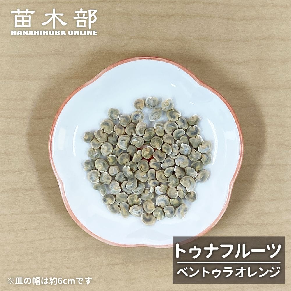 トゥナフルーツ ベントゥラ オレンジ 1