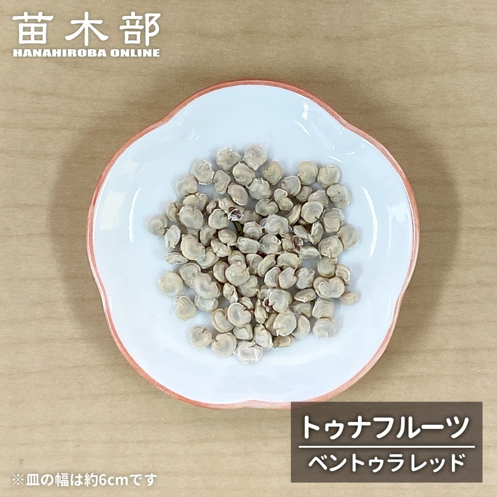 トゥナフルーツ ベントゥラ レッド 