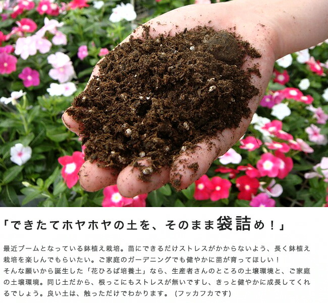 できたてホヤホヤの土を、そのまま袋詰め