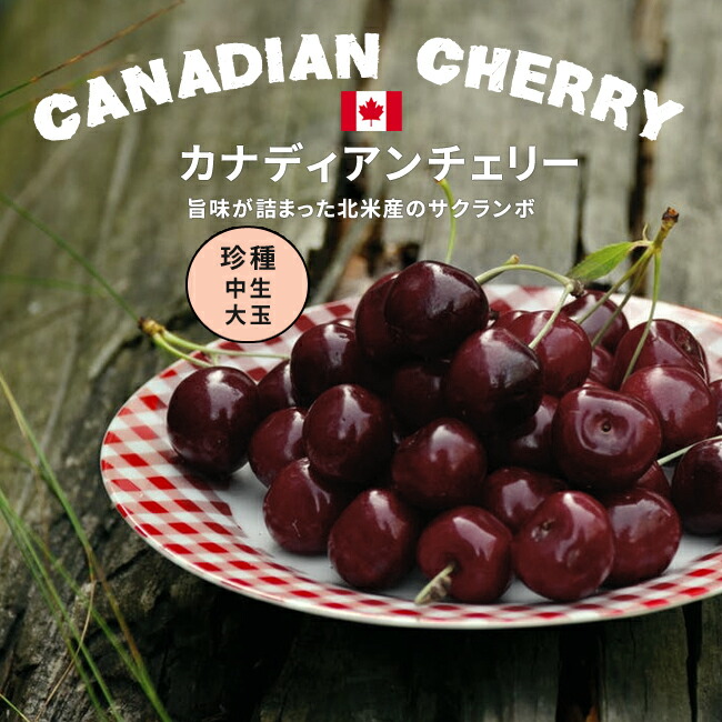 サクランボ カナディアンチェリー 
