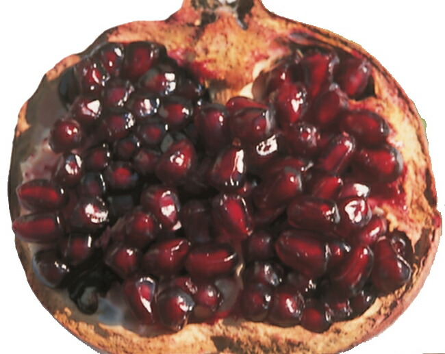 ザクロ 種無しザクロ 