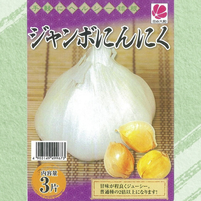 にんにく ジャンボにんにく 苗 販売 苗木部 By 花ひろばオンライン