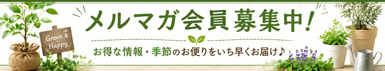 メルマガ会員募集中