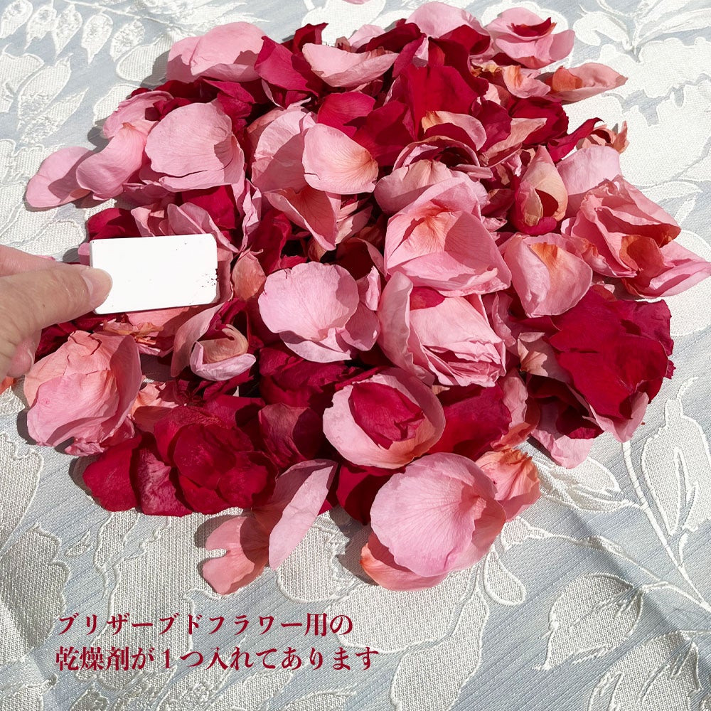 000000100230-02.jpg?size=l&w=