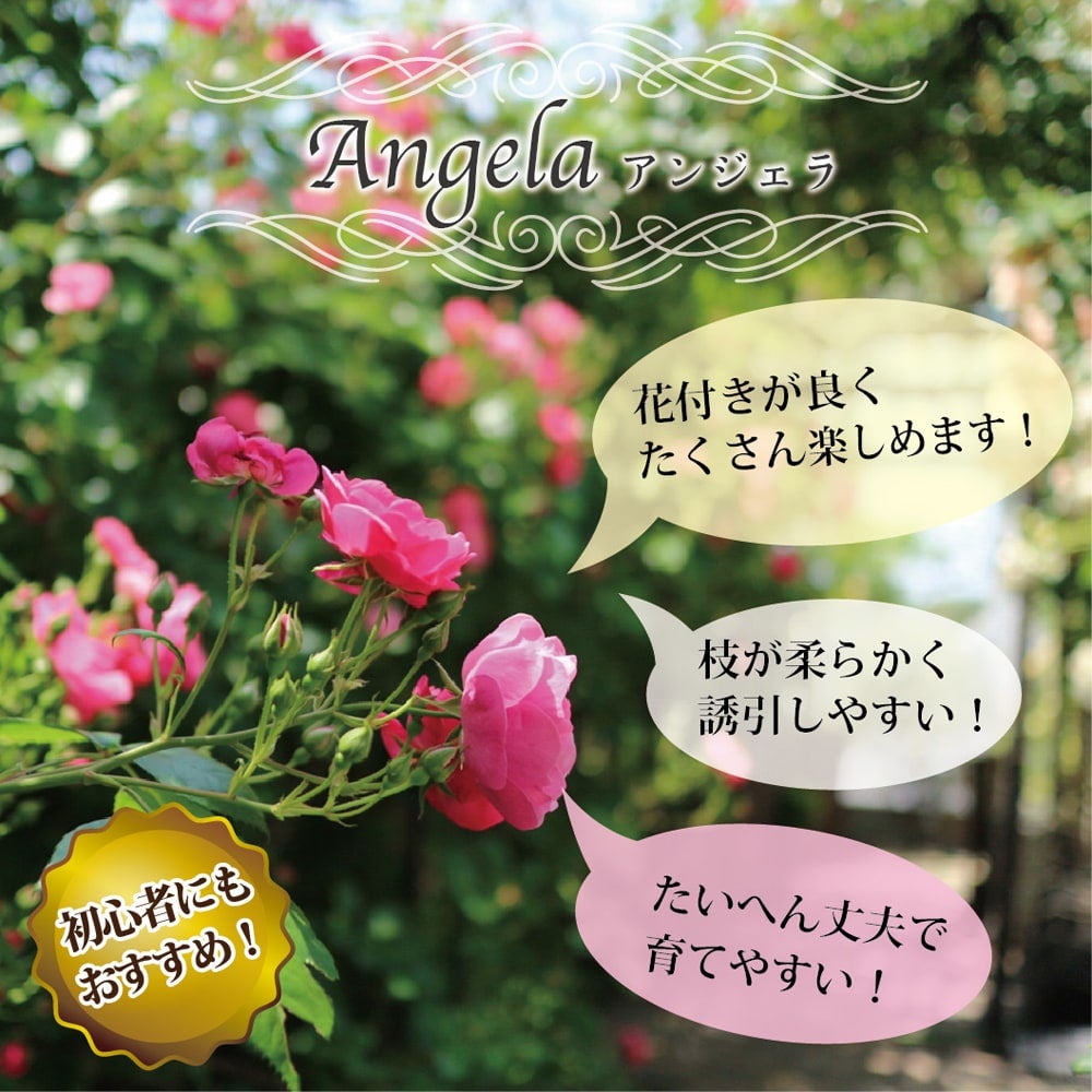 000000000520-02.jpg?size=l&w=