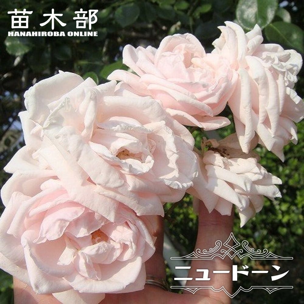 000000000584-01.jpg?size=l&w=