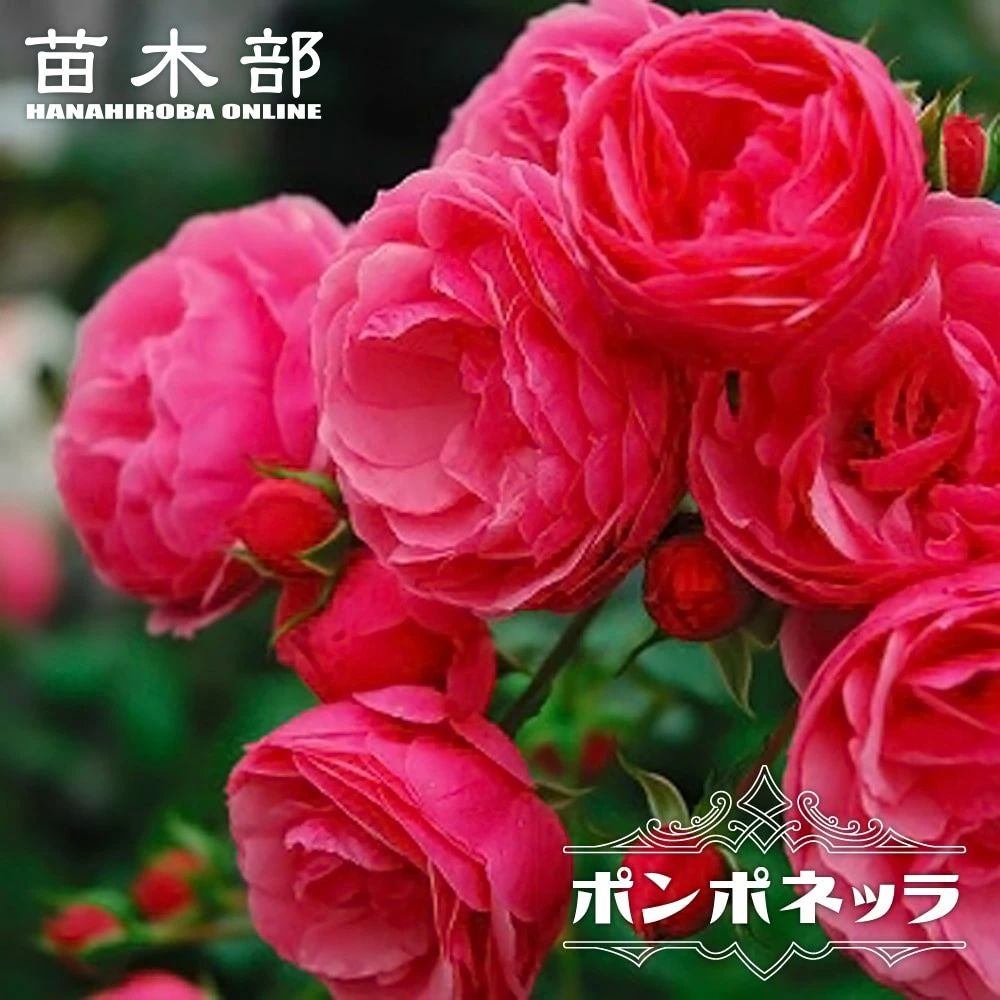 000000000601-01.jpg?size=l&w=