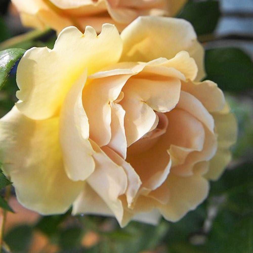 000000000621-09.jpg?size=l&w=
