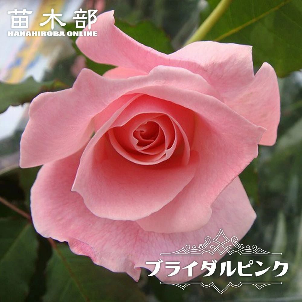 000000000759-01.jpg?size=m&w=