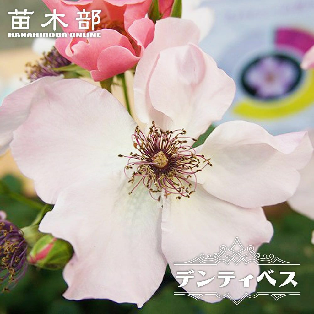 000000000864-01.jpg?size=l&w=