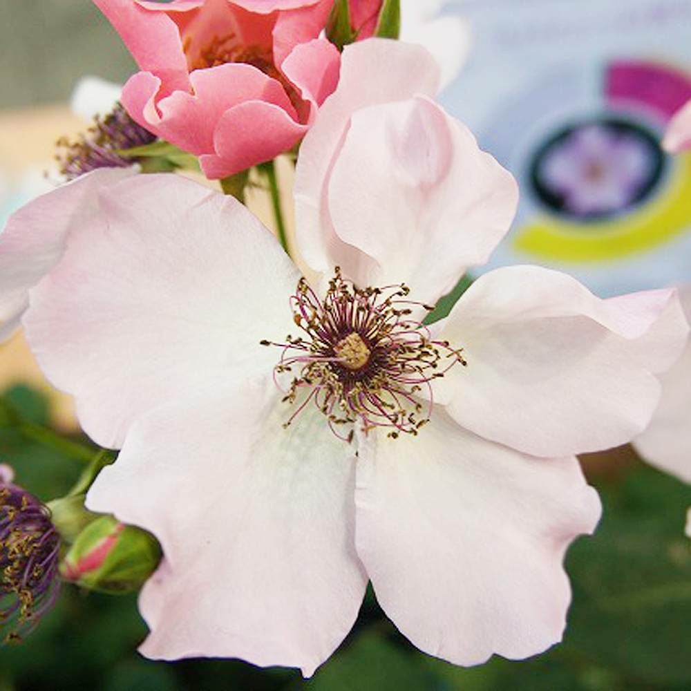 000000000864-05.jpg?size=l&w=