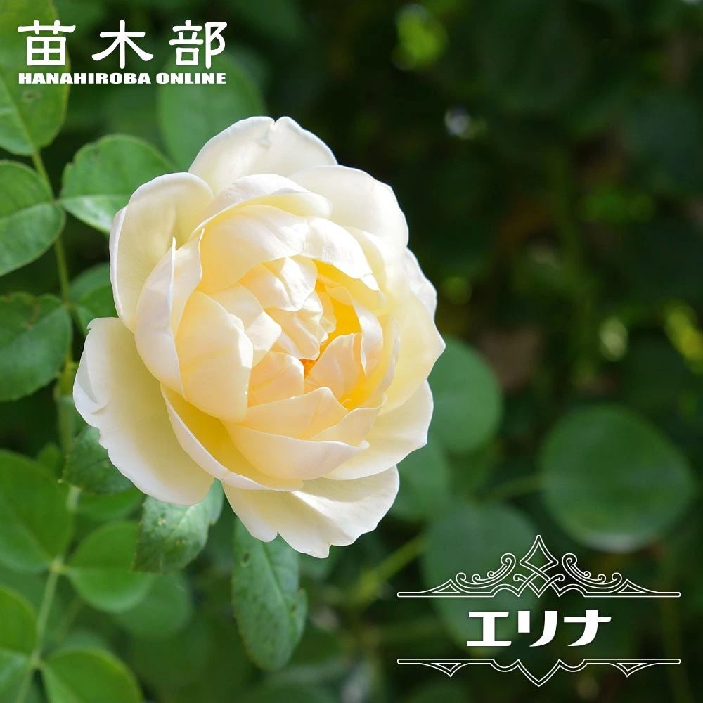 000000000867-01.jpg?size=l&w=