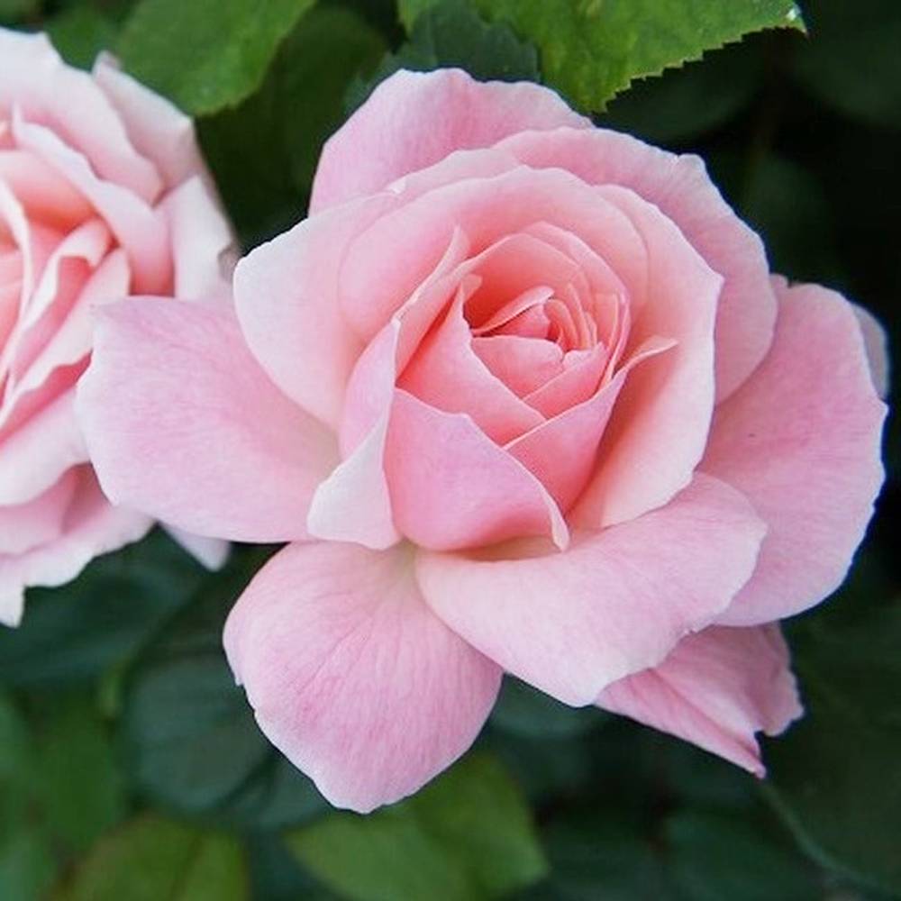 000000000901-07.jpg?size=l&w=