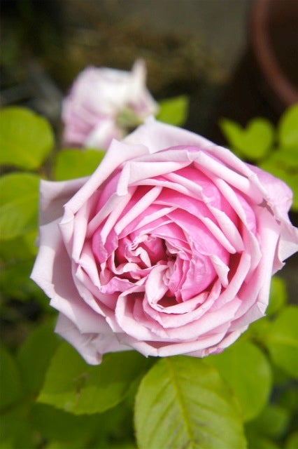 000000000930-02.jpg?size=l&w=