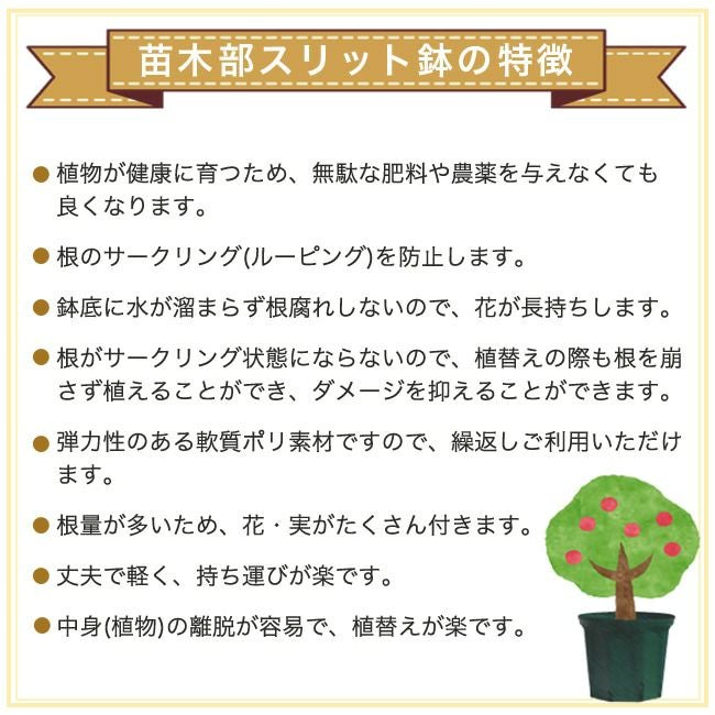 苗 おすすめ 苗木部 By 花ひろばオンライン