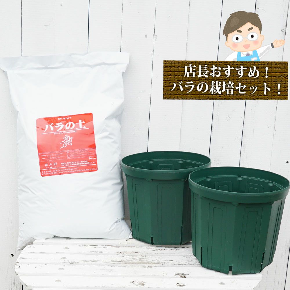 初心者向け♪ バラ鉢植え栽培セット | 苗木部 本店 By 花ひろばオンライン