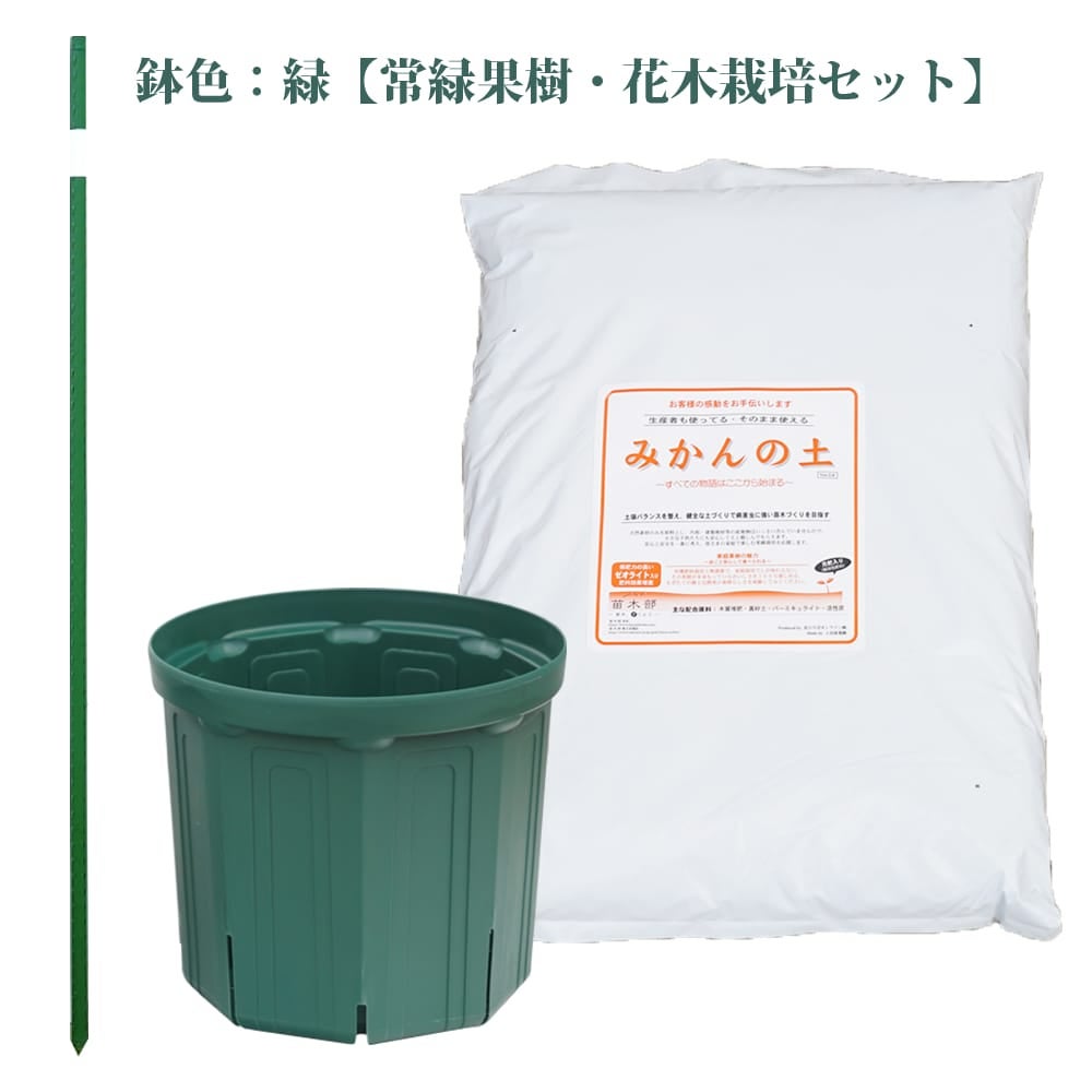 初心者向け♪ 果樹・花木鉢植え栽培セット | 苗木部 本店 By 花ひろば