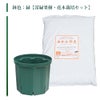 鉢色：緑【常緑果樹・花木栽培セット】