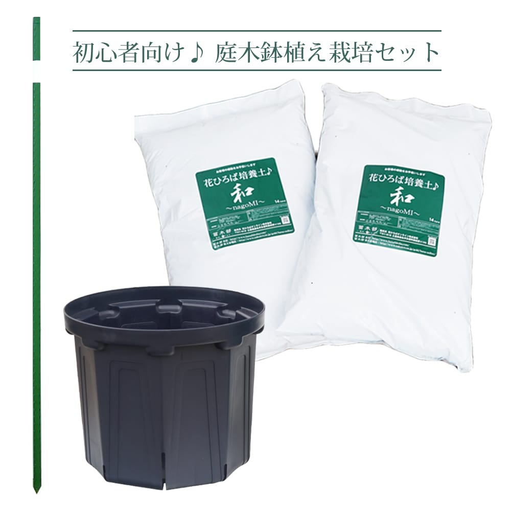 庭木栽培セット（鉢色：紺）