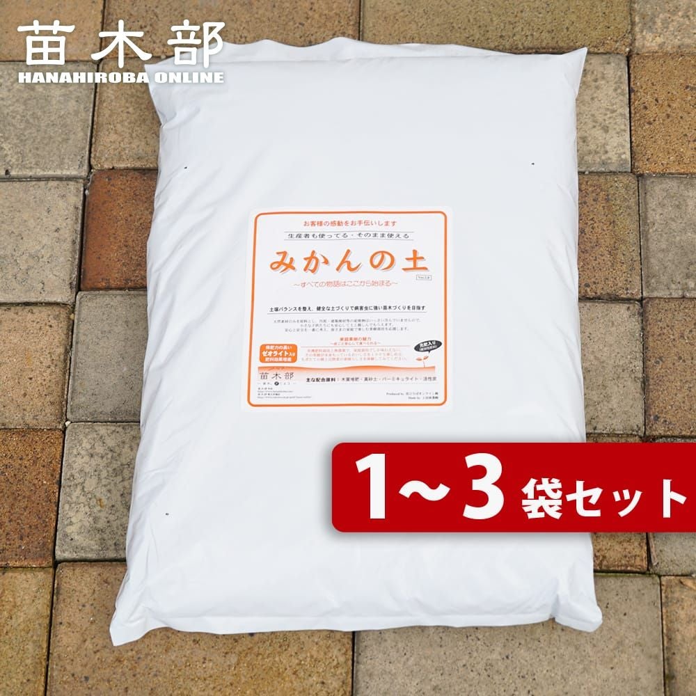 ホワイトサポテ セッパー ルーク 苗 販売 苗木部 By 花ひろばオンライン