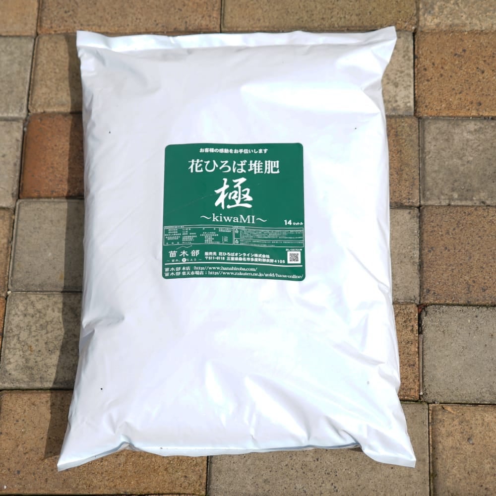 ノルウェーカエデ クリムゾンキング 苗 販売 苗木部 By 花ひろばオンライン