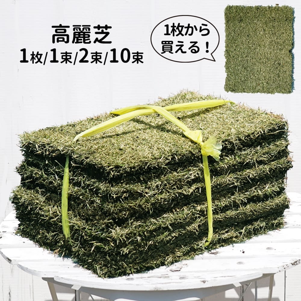 000000101625-01.jpg?size=l&w=