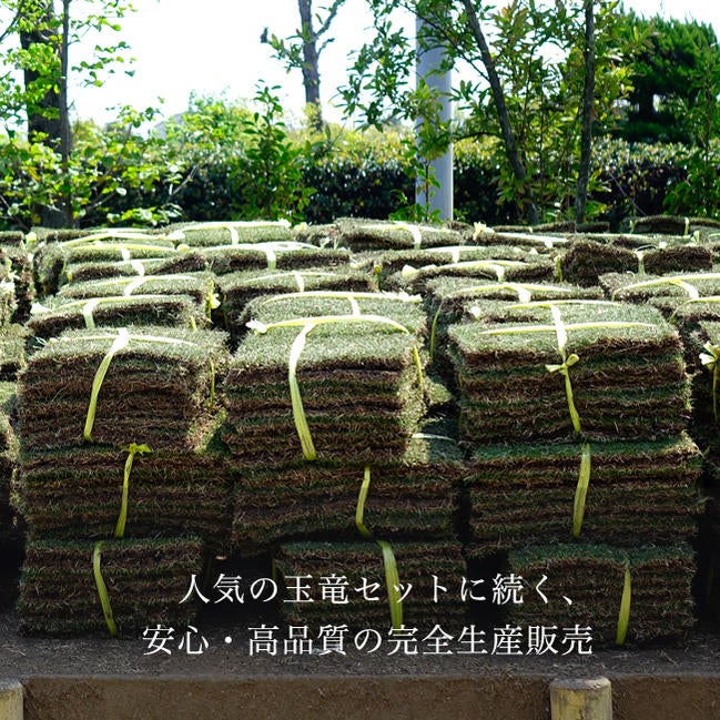 000000101625-03.jpg?size=l&w= 