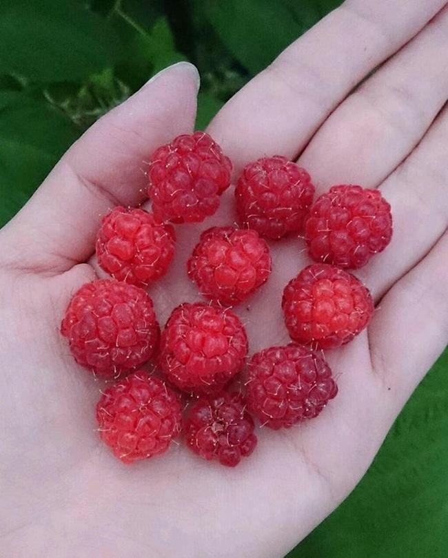 000000001773-01.jpg?size=l&w=