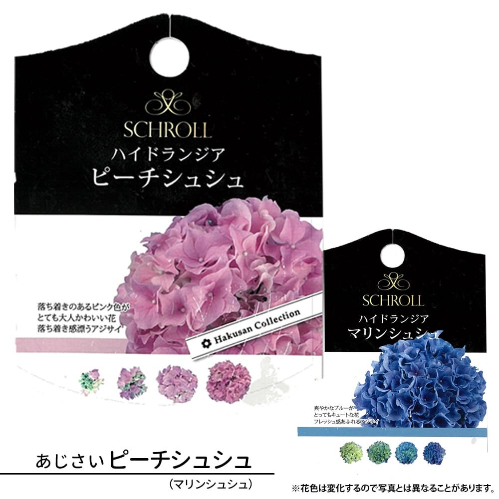 000000102062-01.jpg?size=l&w=