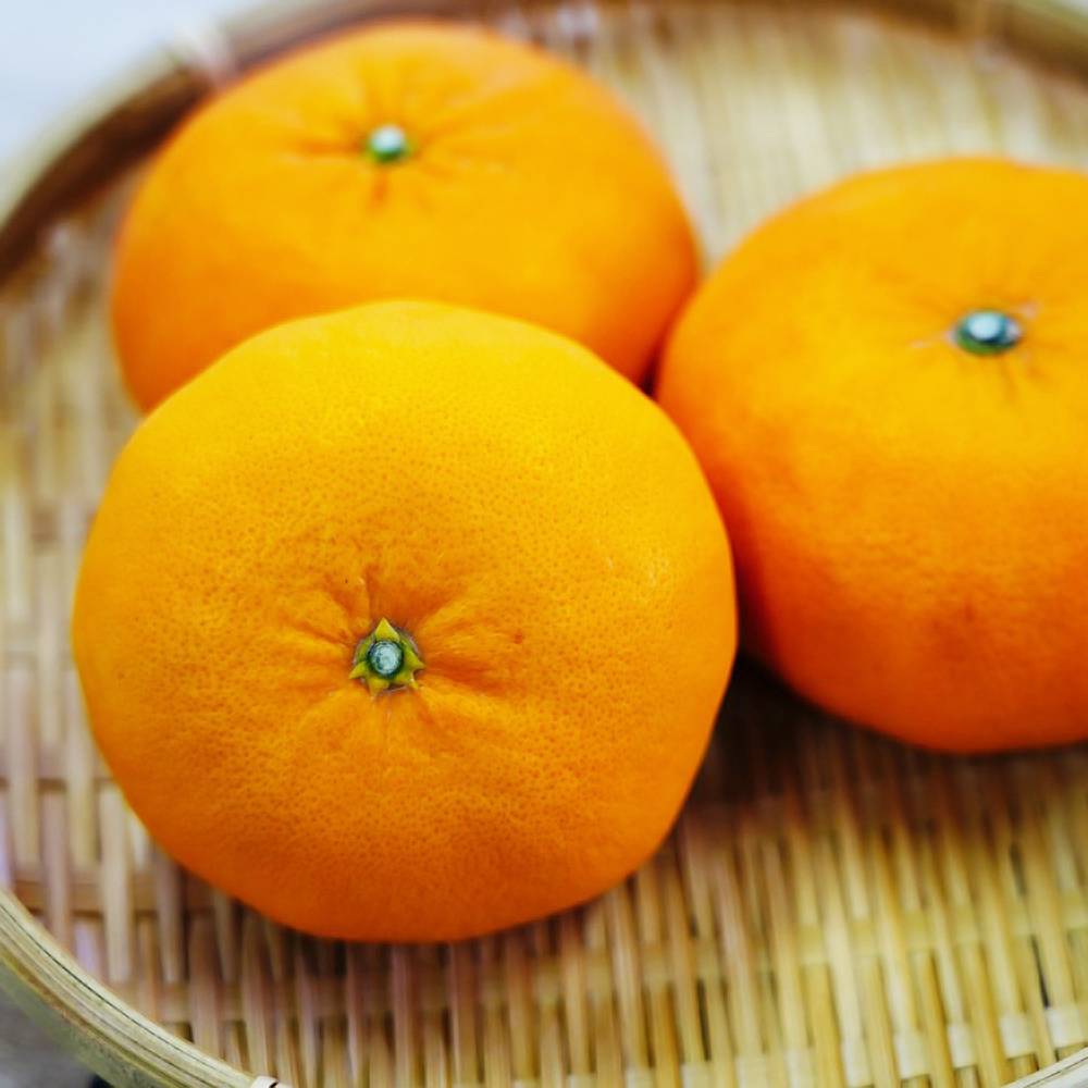 000000002199-06.jpg?size=l&w=