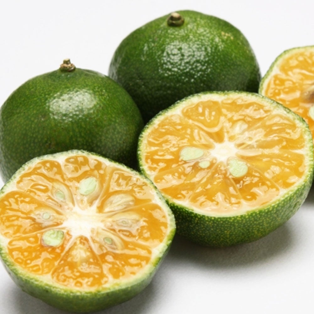 柑橘 亜熱帯性柑橘 シークワーサー 苗 おすすめ 苗木部 By 花ひろば