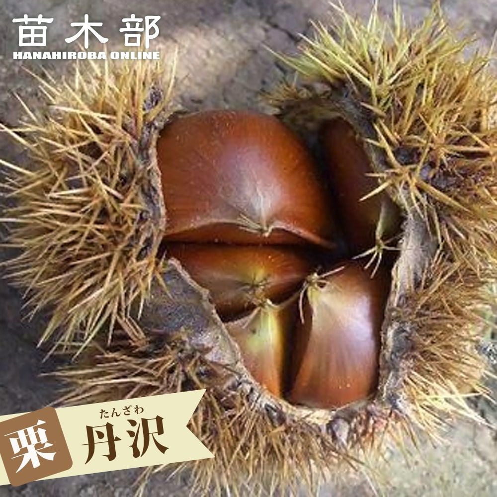 000000002274-01.jpg?size=l&w=