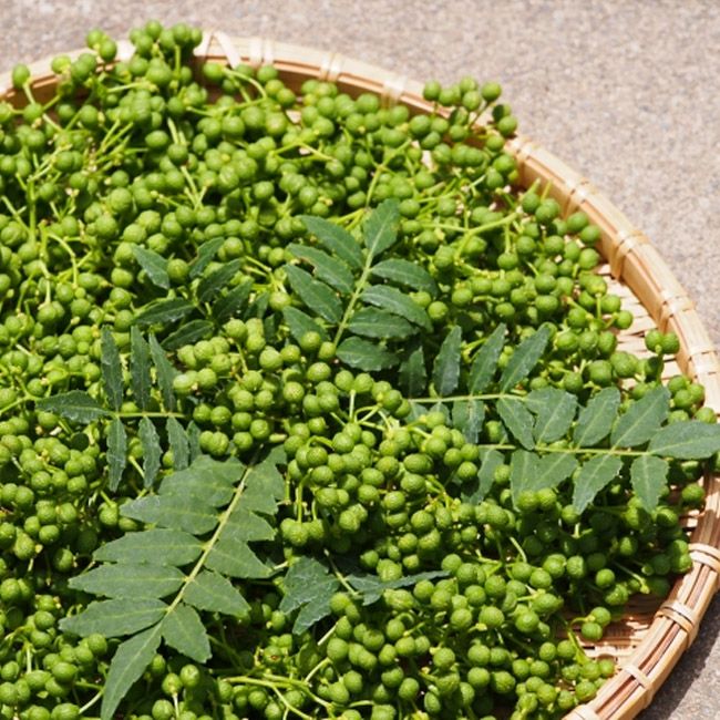 000000002446-05.jpg?size=l&w=