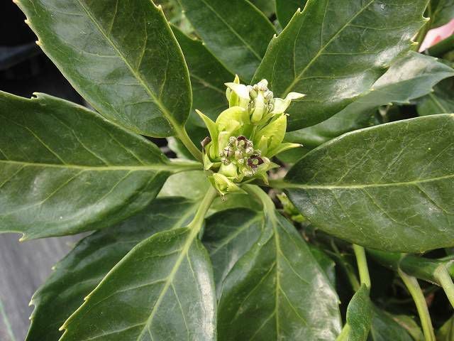 000000002730-02.jpg?size=l&w=