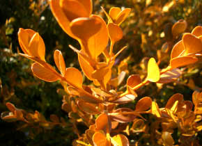 000000002737-09.jpg?size=l&w=