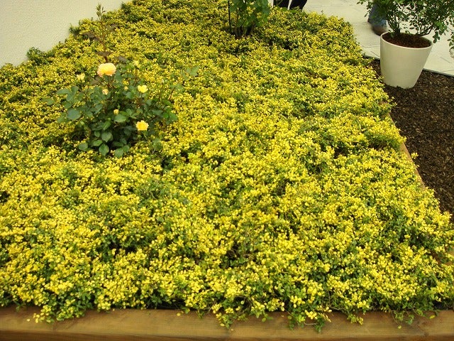 000000002748-03.jpg?size=l&w=