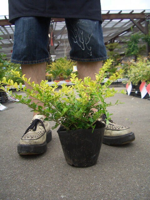 000000002748-04.jpg?size=l&w=