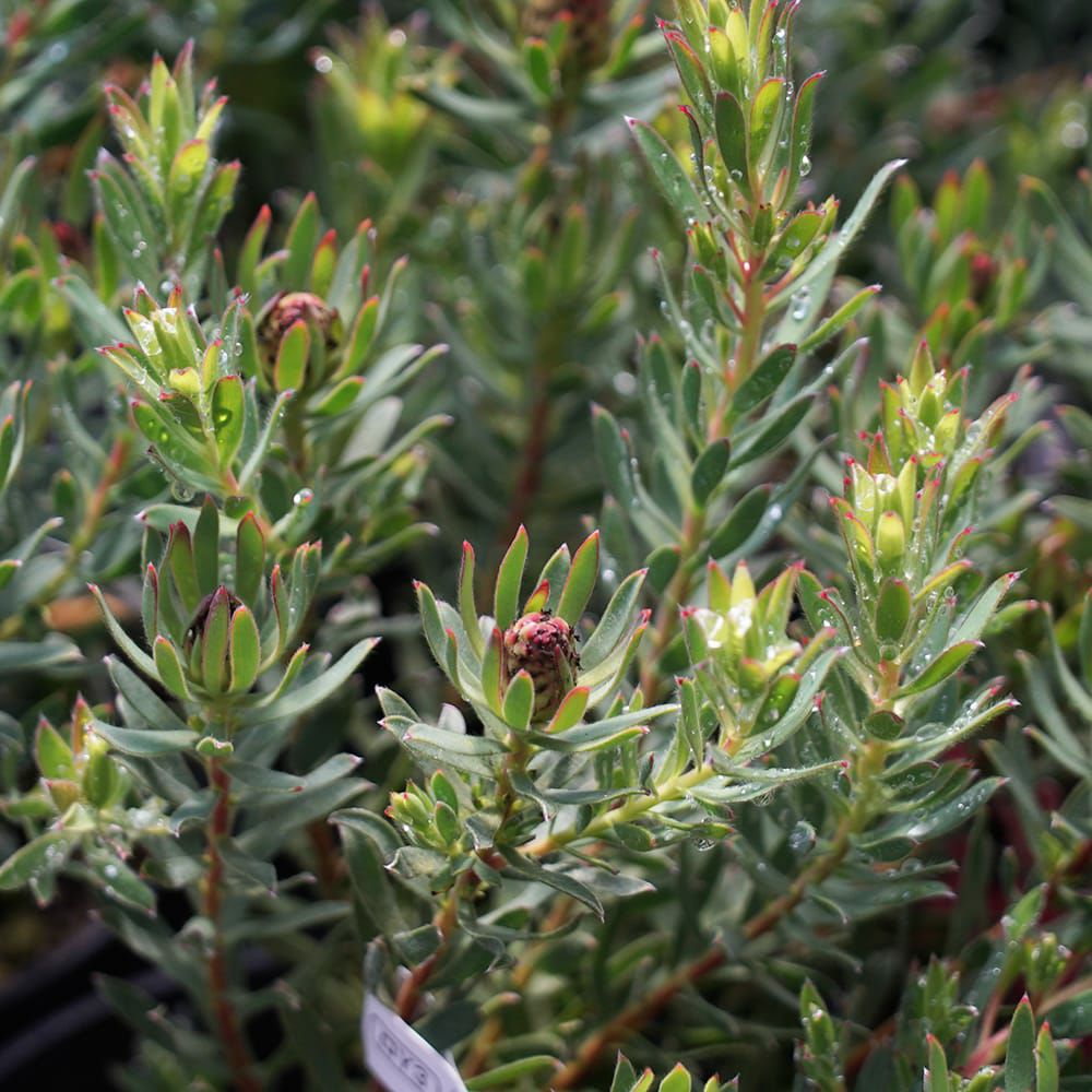 000000102723-02.jpg?size=l&w=