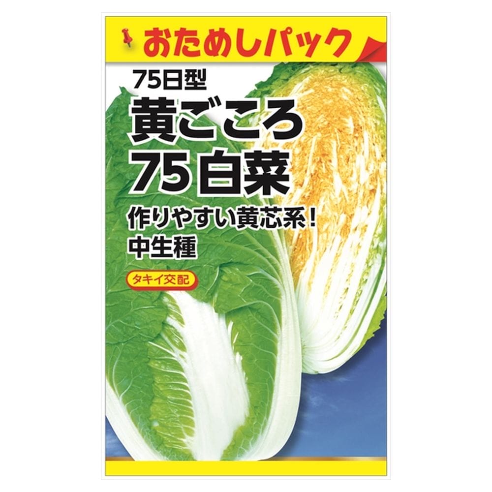 黄ごころ75日白菜 苗 販売 苗木部 By 花ひろばオンライン