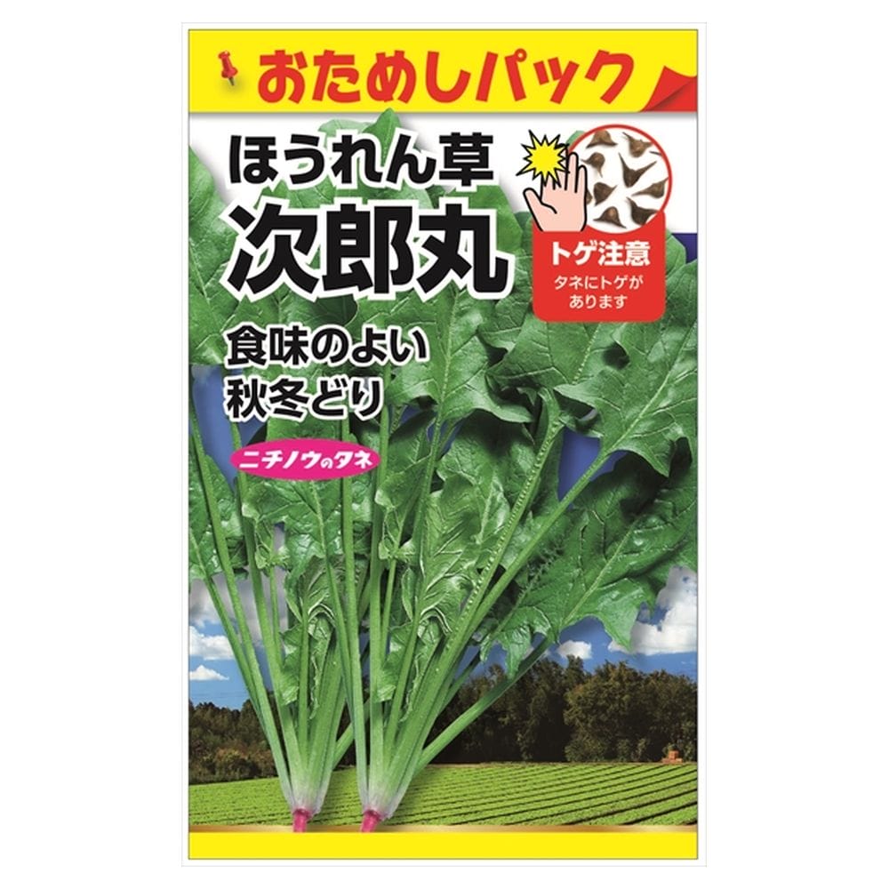 次郎丸ほうれん草の強化苗３０株セット＋プティ粗品＋匿名送料無料、同梱可能です☘ 000000102788-01.jpg?size=l&w=