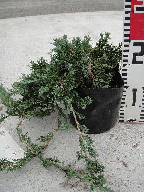 000000002810-01.jpg?size=l&w=