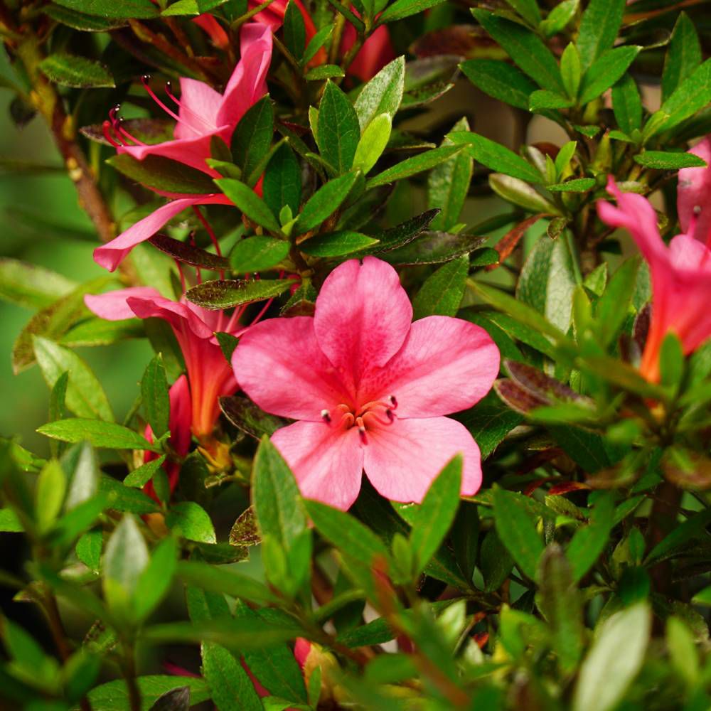 000000002856-05.jpg?size=l&w=