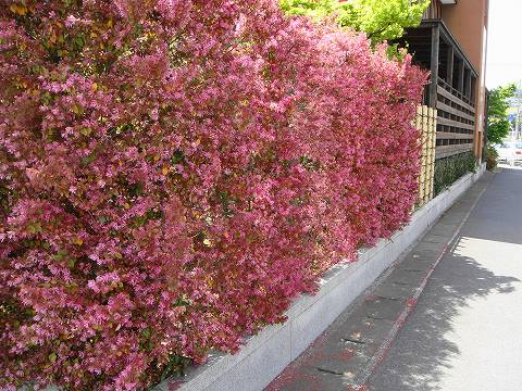 000000002878-08.jpg?size=l&w=