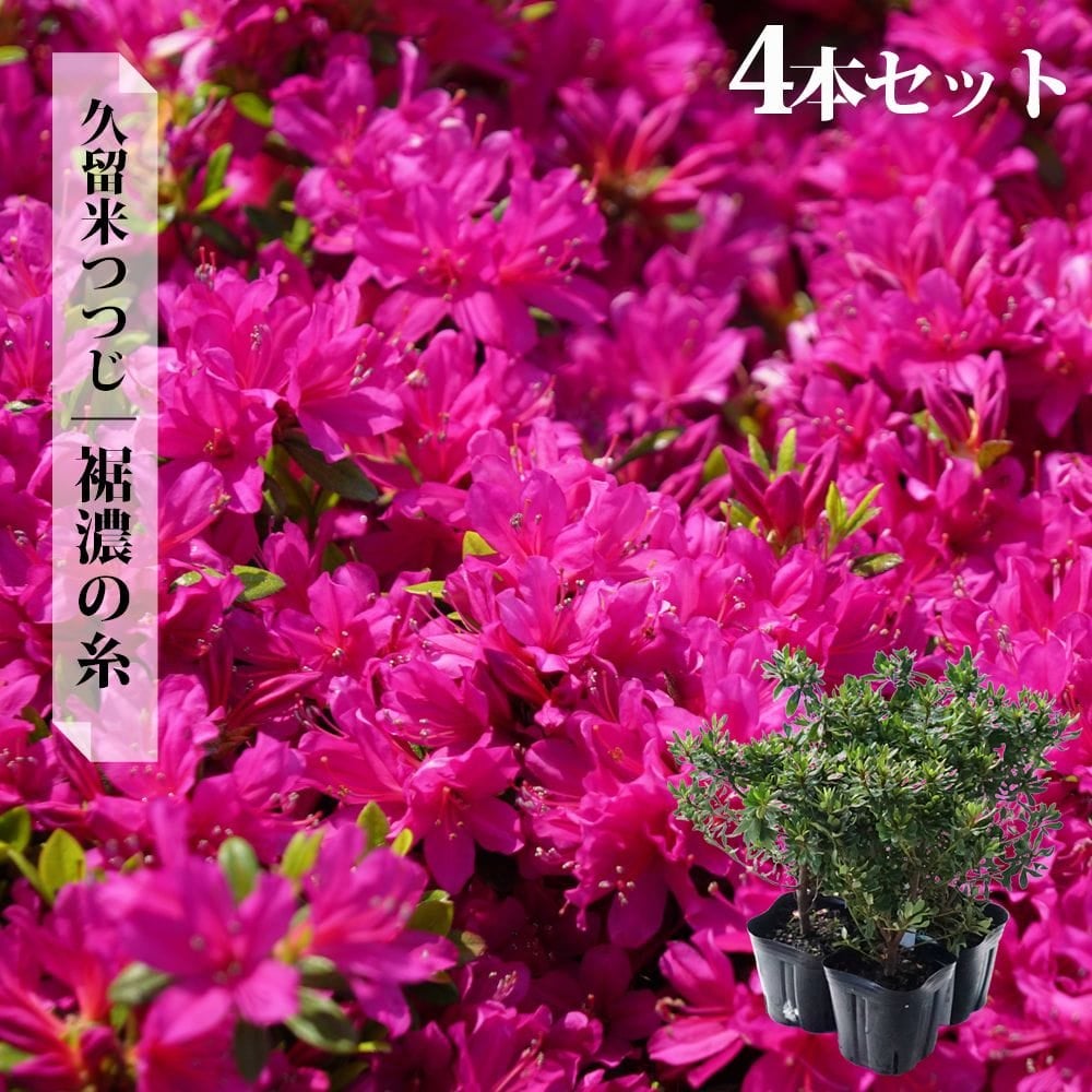 000000002884-07.jpg?size=l&w=