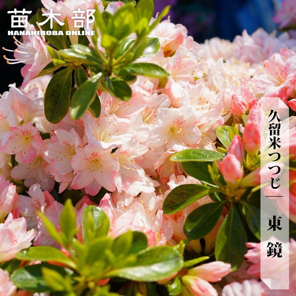 000000002885-01.jpg?size=l&w=