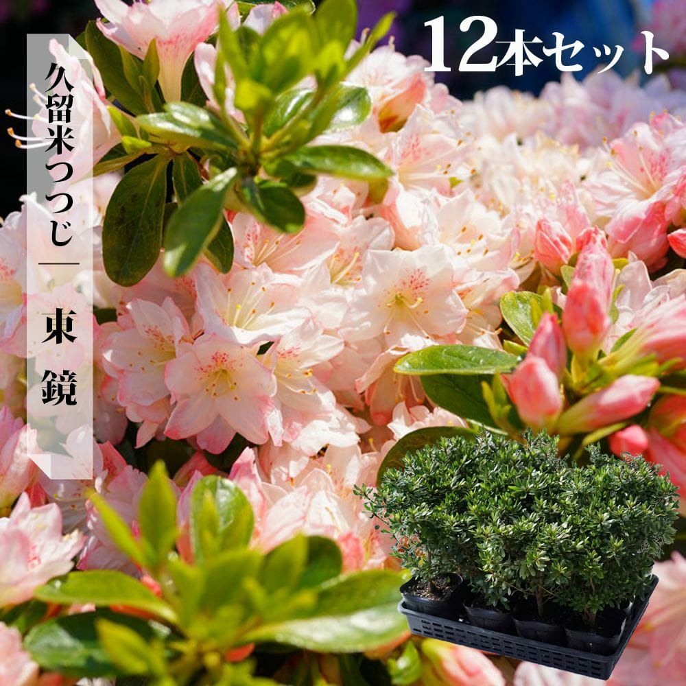 000000002885-11.jpg?size=l&w=