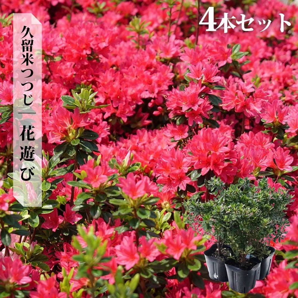 000000002887-09.jpg?size=l&w=