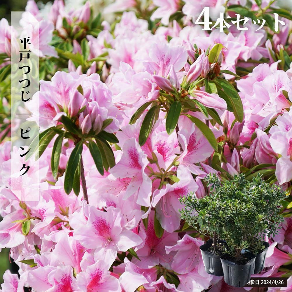 000000002897-08.jpg?size=l&w=