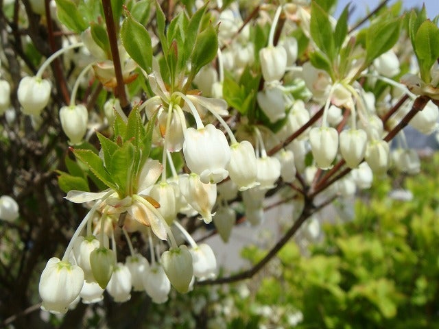 000000003157-05.jpg?size=l&w=