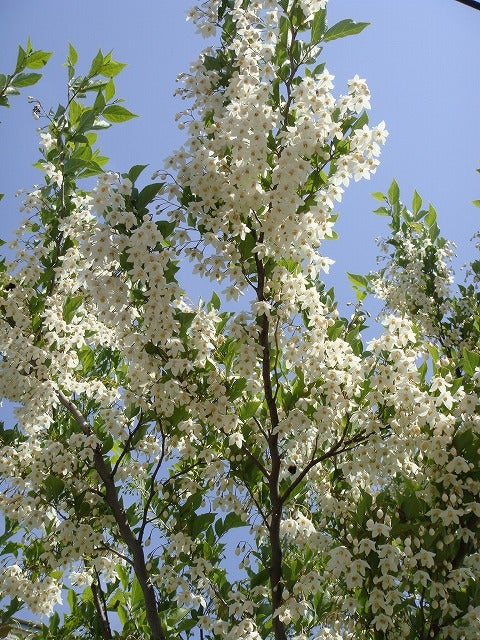 000000003165-05.jpg?size=l&w=